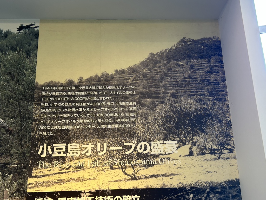 道の駅 小豆島オリーブ公園の写真