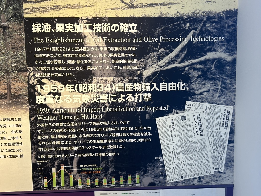 道の駅 小豆島オリーブ公園の写真