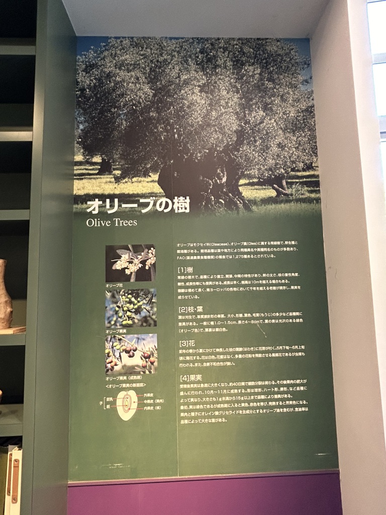 道の駅 小豆島オリーブ公園の写真
