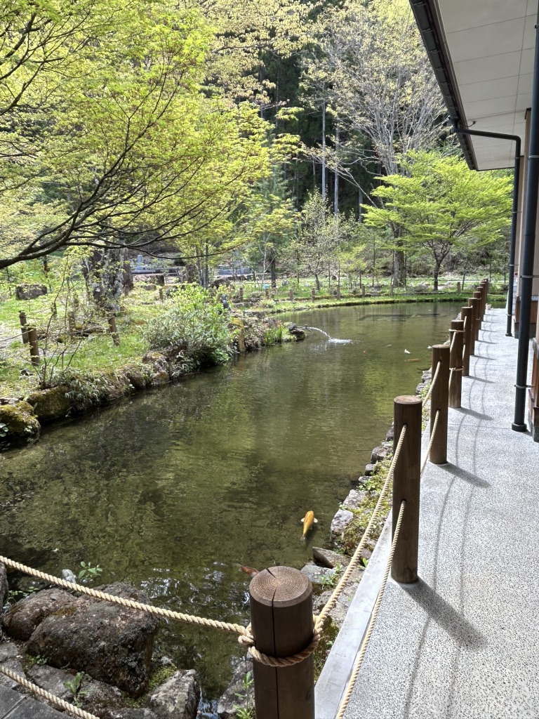 道の駅 ひだ朝日村の写真