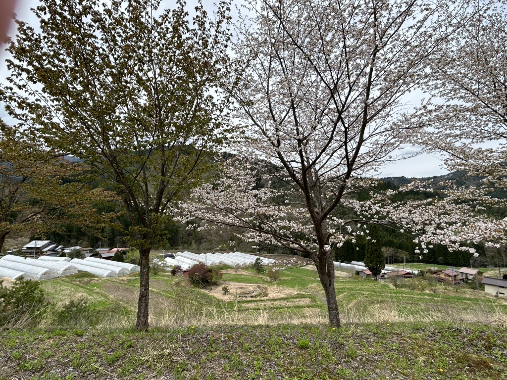 道の駅 飛騨古川いぶしの写真