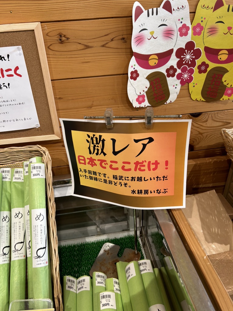 道の駅 どんぐりの里　いなぶの写真