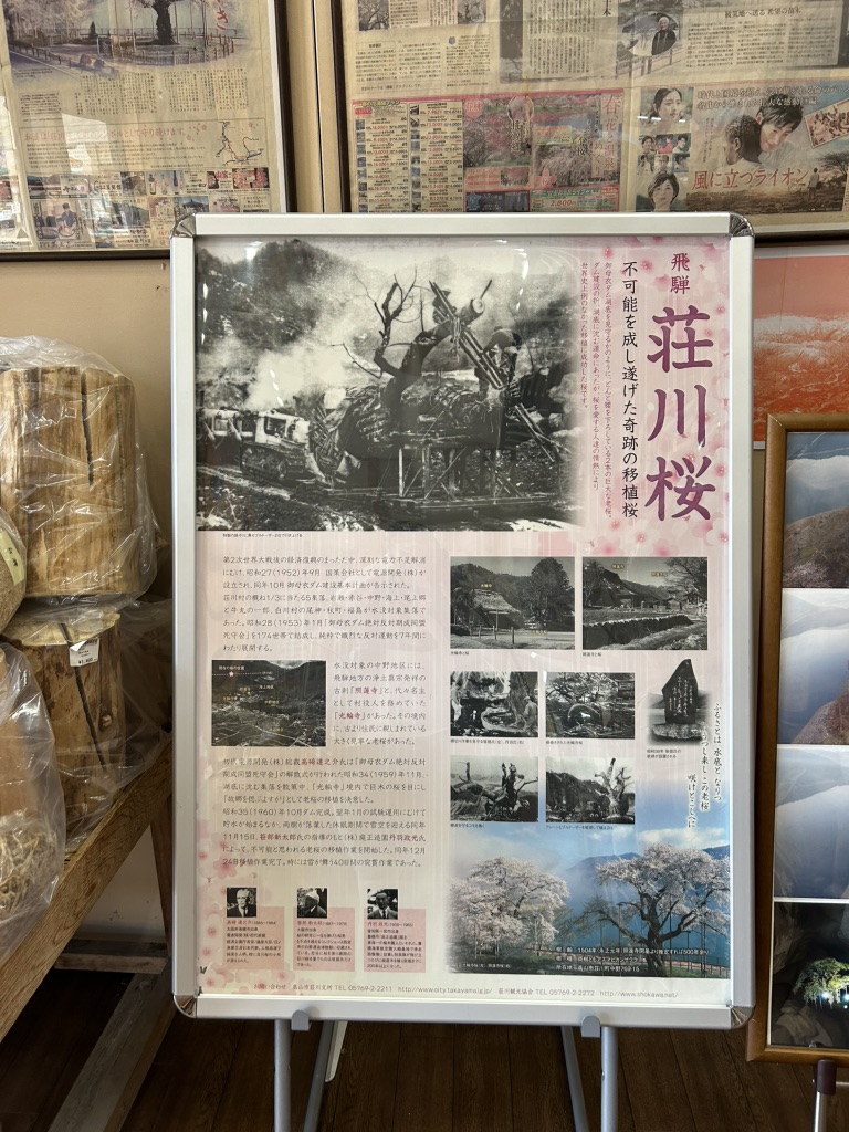 道の駅 桜の郷　荘川の写真