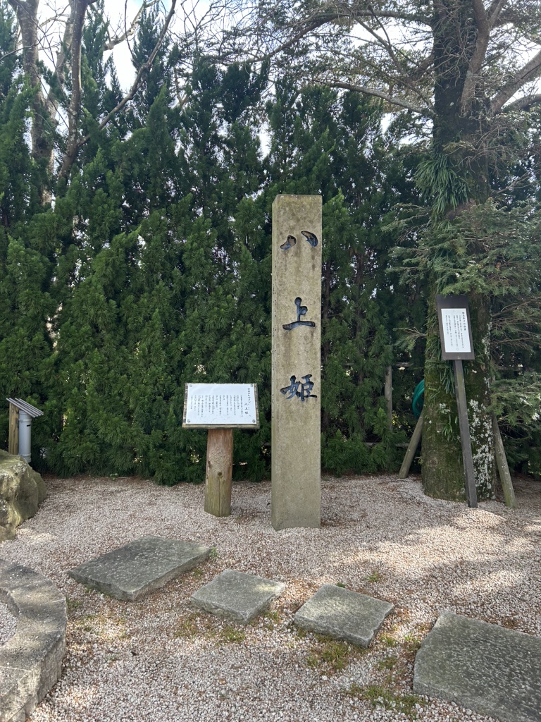 道の駅 湯の川の写真