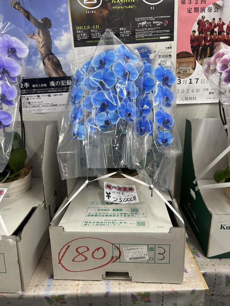 道の駅 湯の川の写真