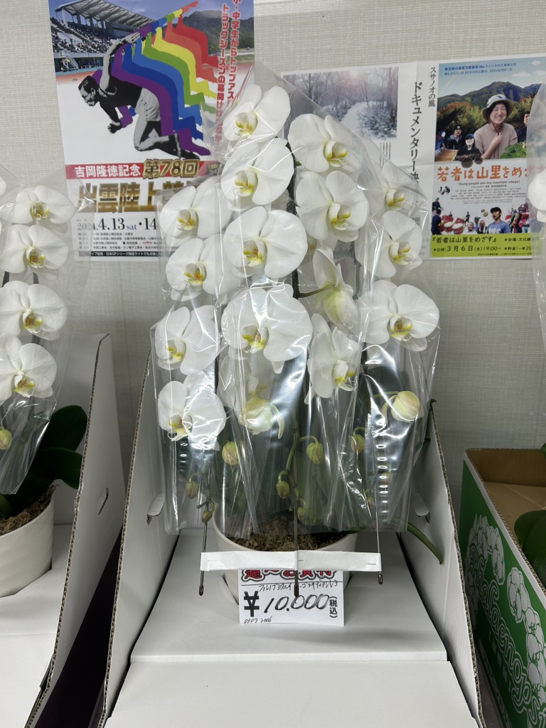 道の駅 湯の川の写真