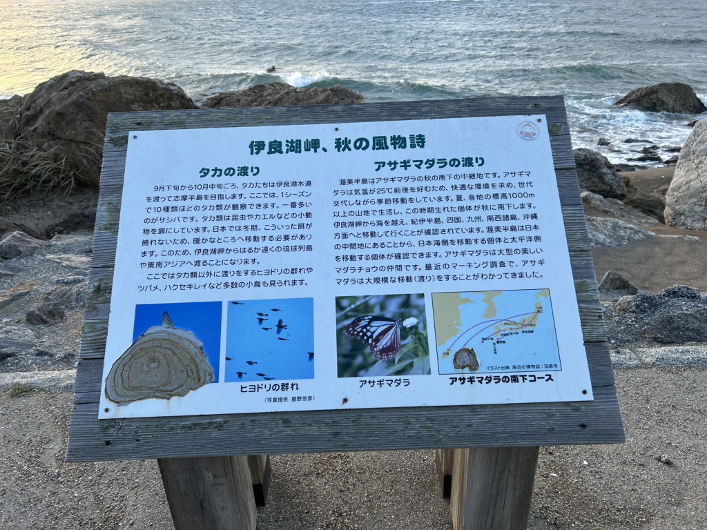 道の駅 伊良湖クリスタルポルトの写真