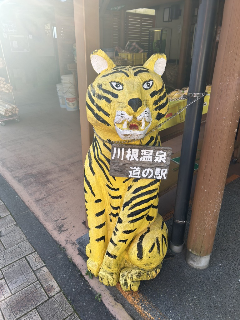 道の駅 川根温泉の写真