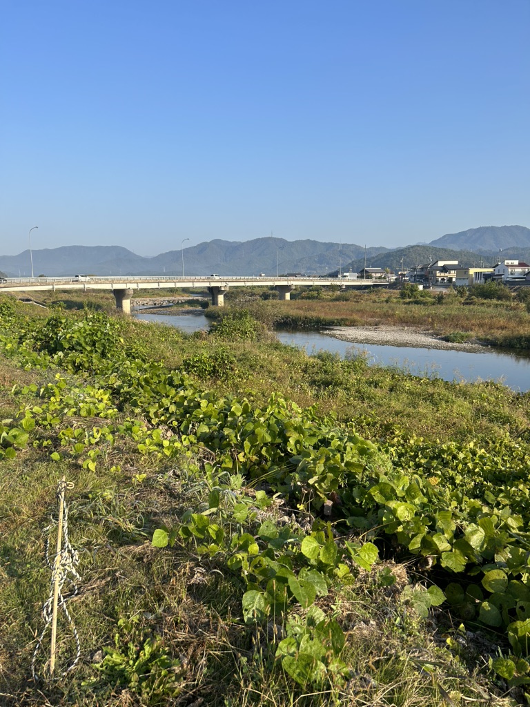 道の駅 むげ川の写真