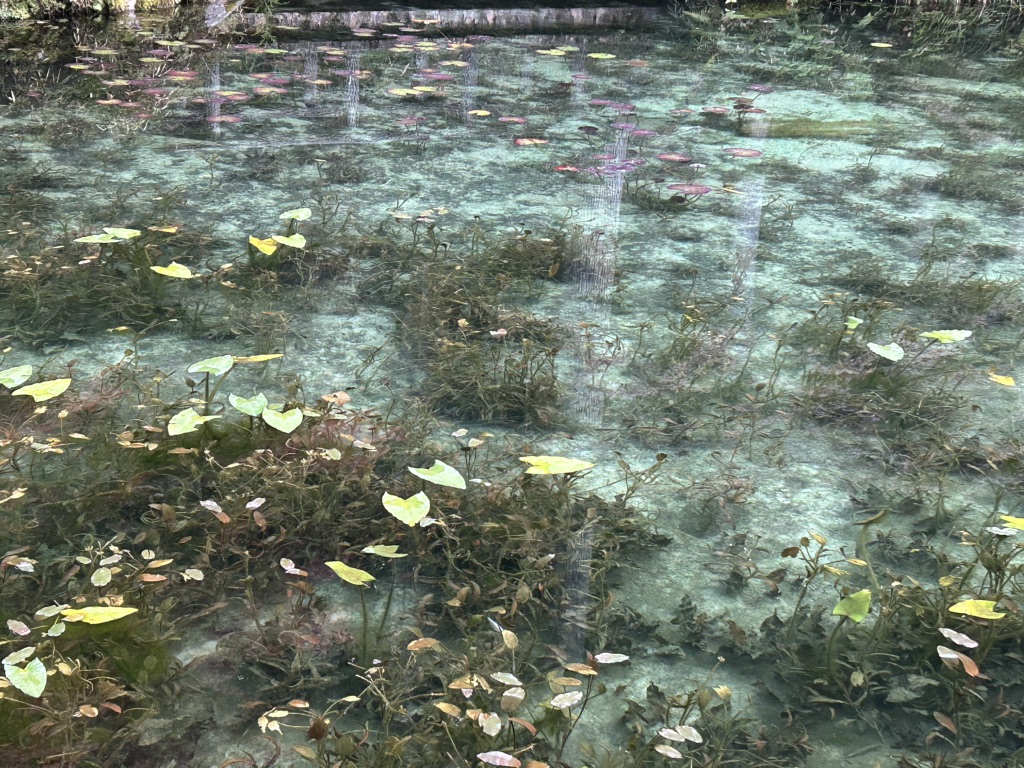 道の駅 ラステンほらどの写真