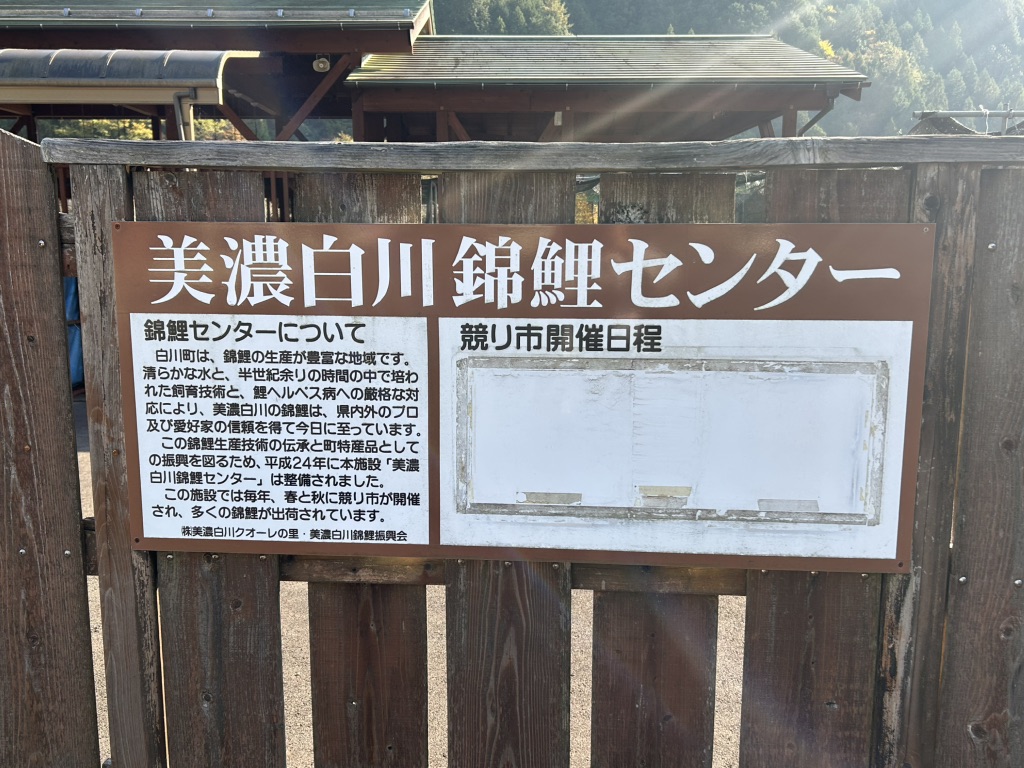 道の駅 清流白川　クオーレの里の写真