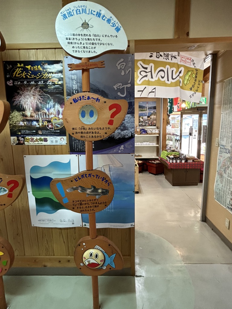 道の駅 清流白川　クオーレの里の写真