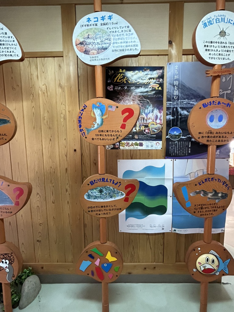 道の駅 清流白川　クオーレの里の写真