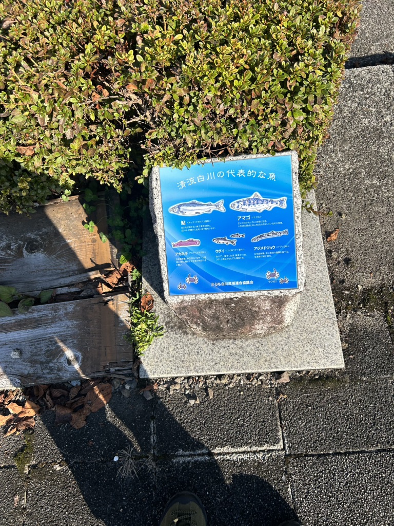 道の駅 清流白川　クオーレの里の写真