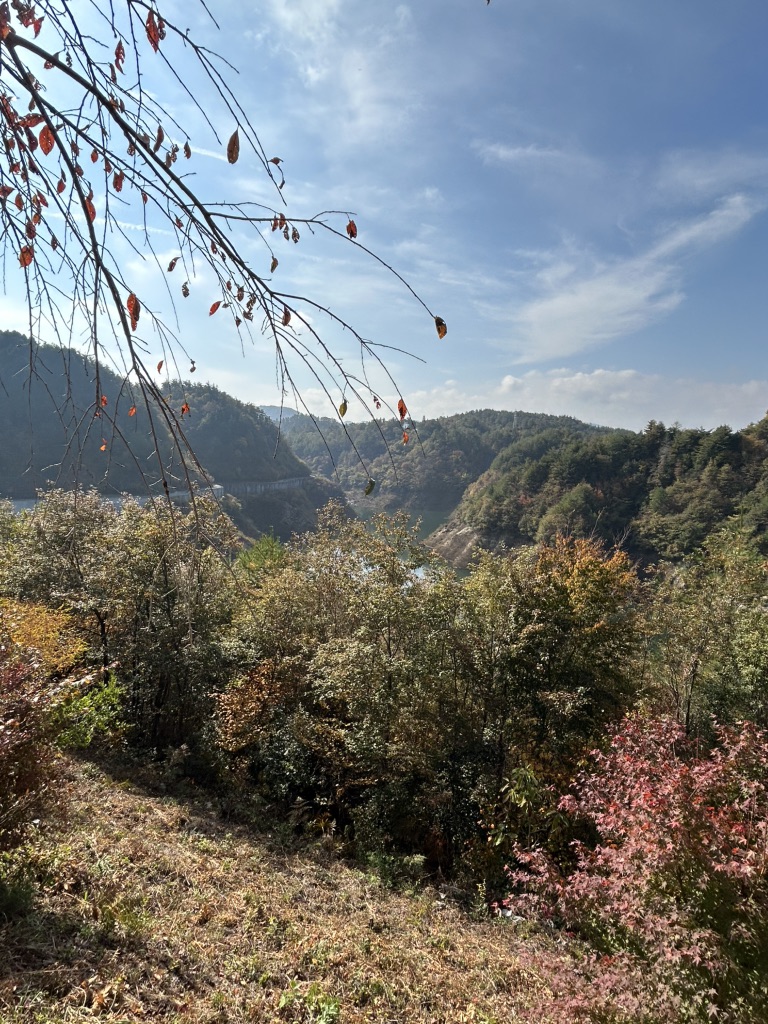 道の駅 おばあちゃん市・山岡の写真