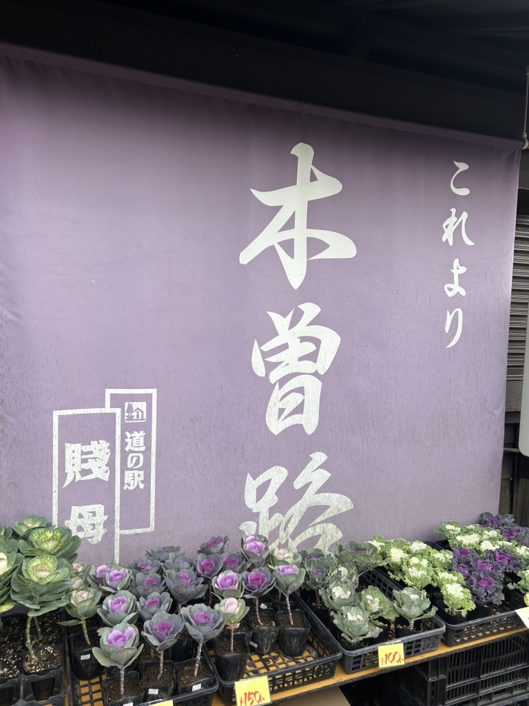 道の駅 賤母の写真