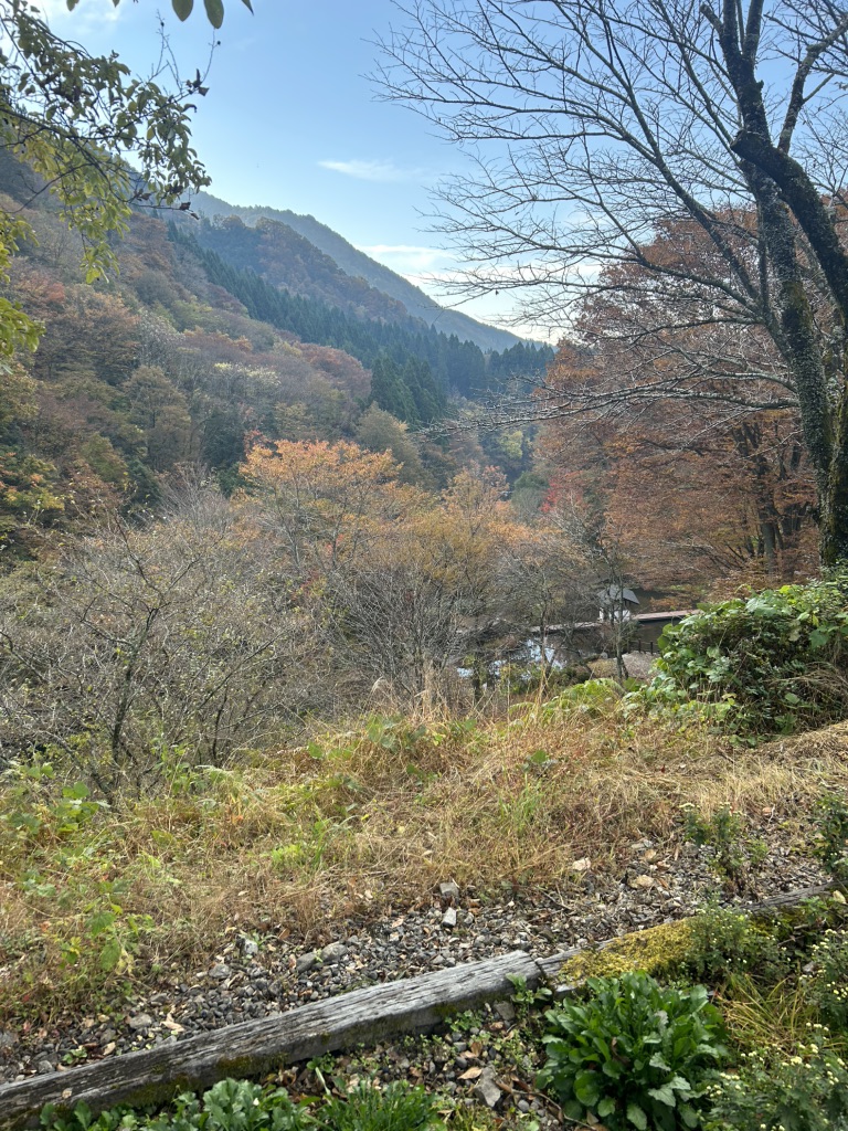 道の駅 明宝の写真