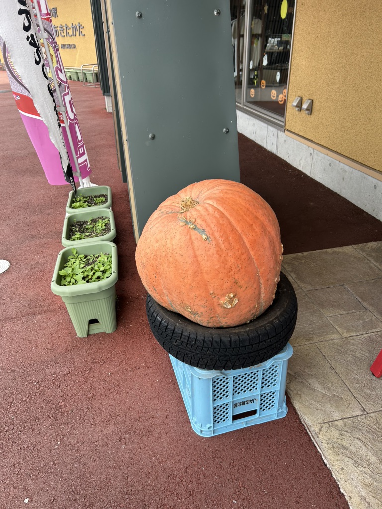 道の駅 三矢の里あきたかたの写真
