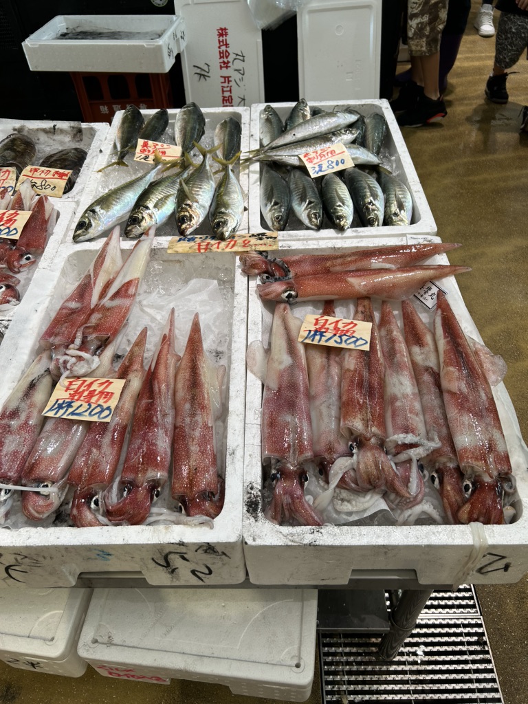 道の駅 琴の浦の写真