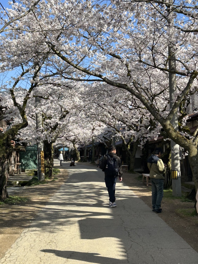 道の駅 がいせん桜 新庄宿の写真