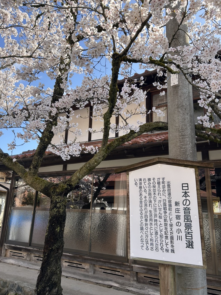 道の駅 がいせん桜 新庄宿の写真
