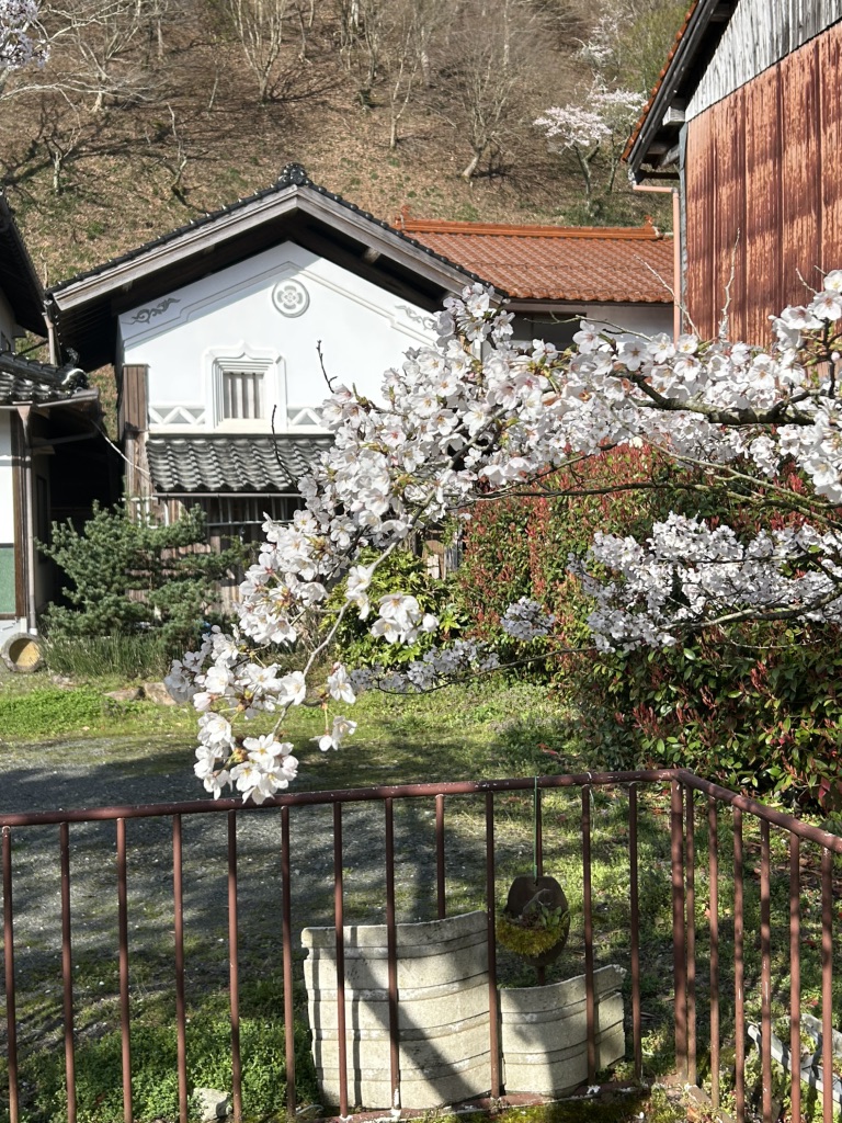 道の駅 がいせん桜 新庄宿の写真