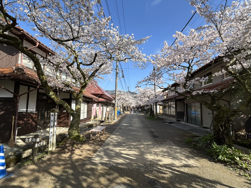 道の駅 がいせん桜 新庄宿の写真