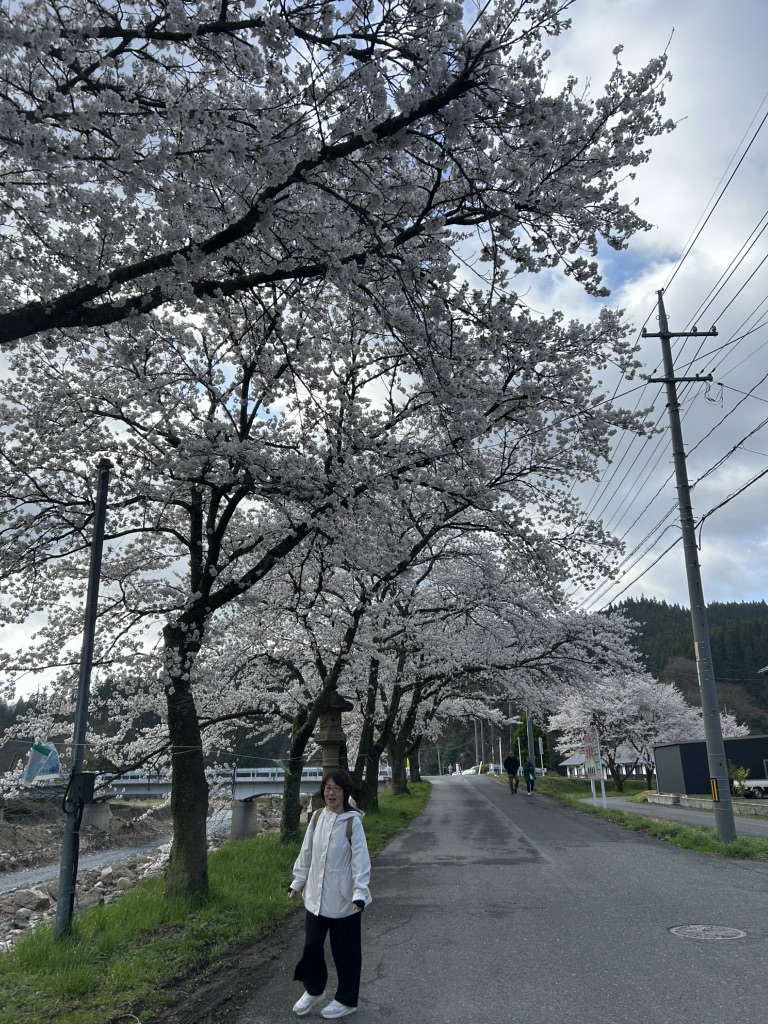 道の駅 がいせん桜 新庄宿の写真