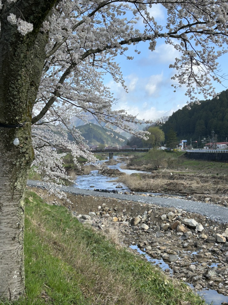 道の駅 がいせん桜 新庄宿の写真
