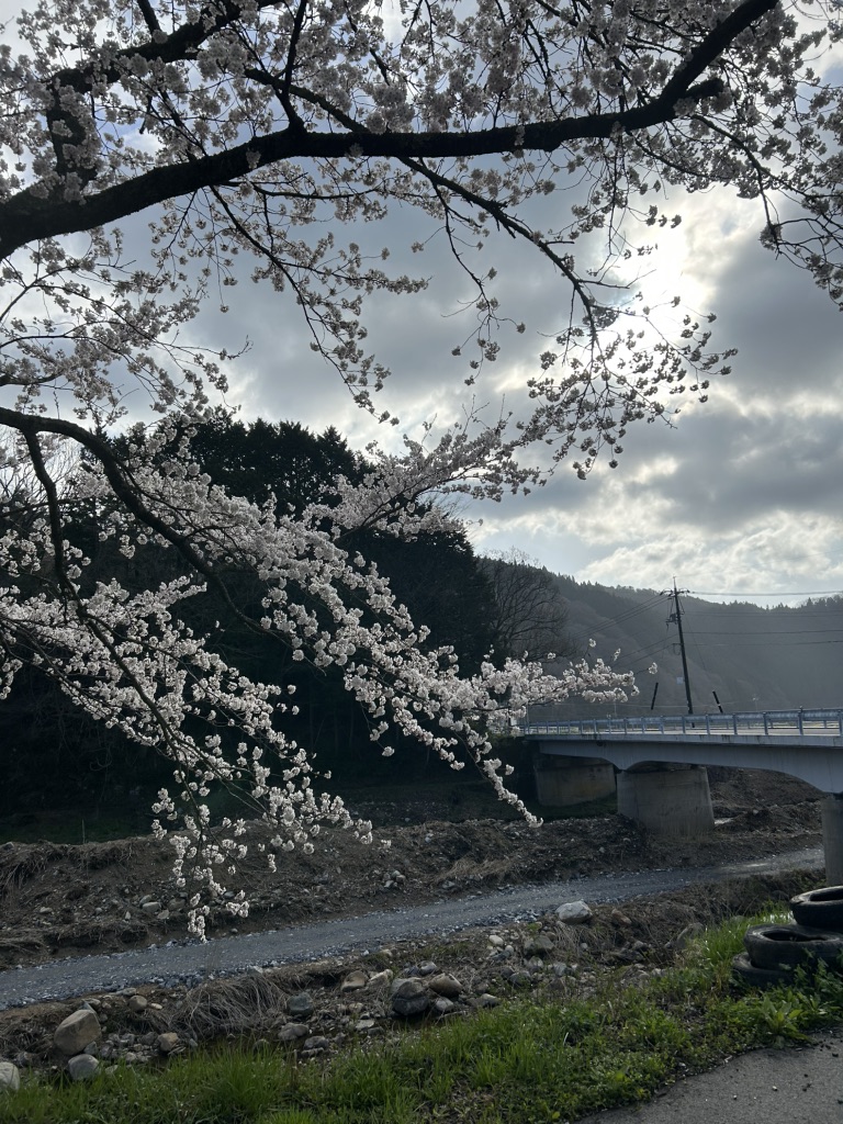 道の駅 がいせん桜 新庄宿の写真