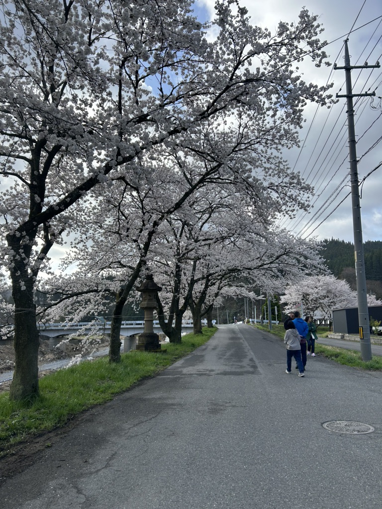 道の駅 がいせん桜 新庄宿の写真