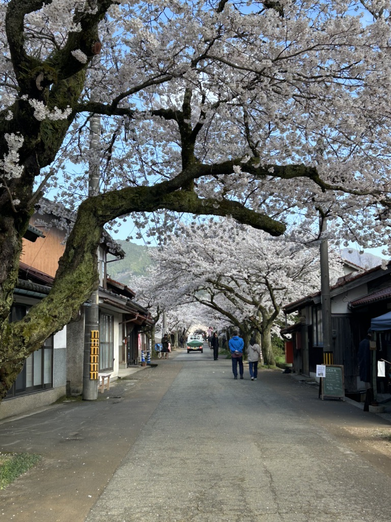 道の駅 がいせん桜 新庄宿の写真