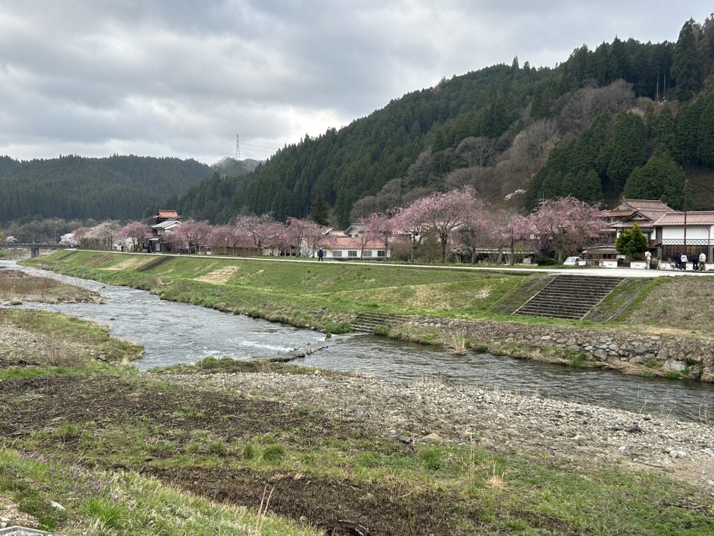 道の駅 がいせん桜 新庄宿の写真