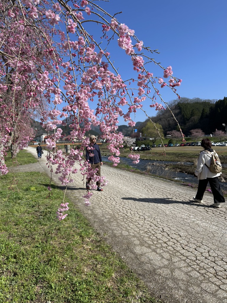 道の駅 がいせん桜 新庄宿の写真