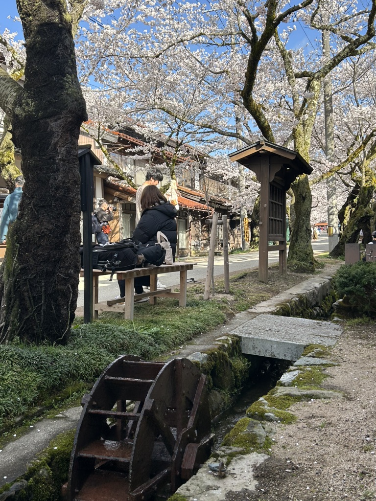 道の駅 がいせん桜 新庄宿の写真