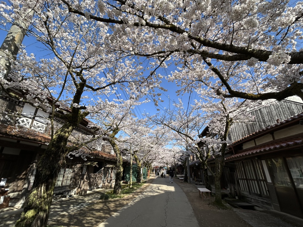 道の駅 がいせん桜 新庄宿の写真