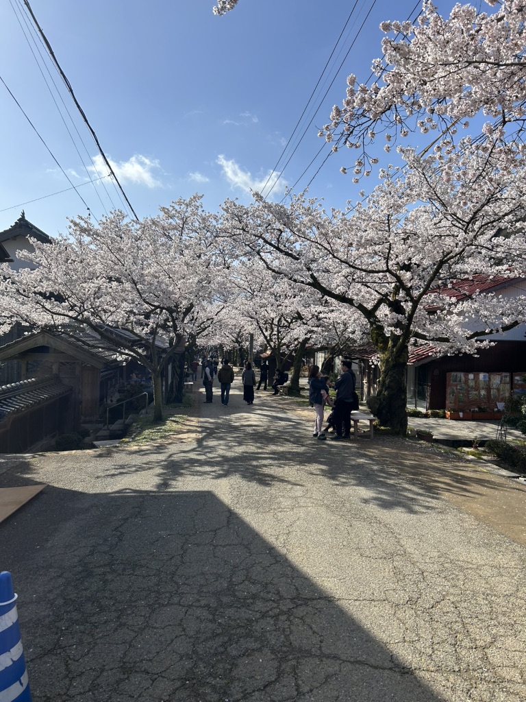 道の駅 がいせん桜 新庄宿の写真