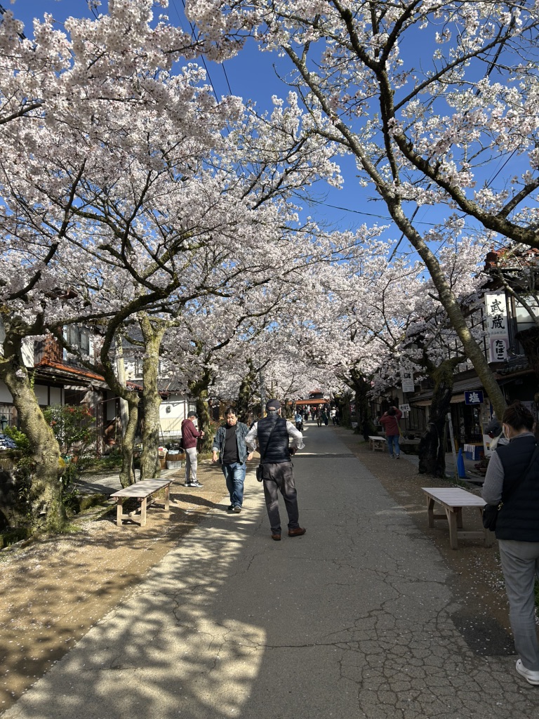 道の駅 がいせん桜 新庄宿の写真