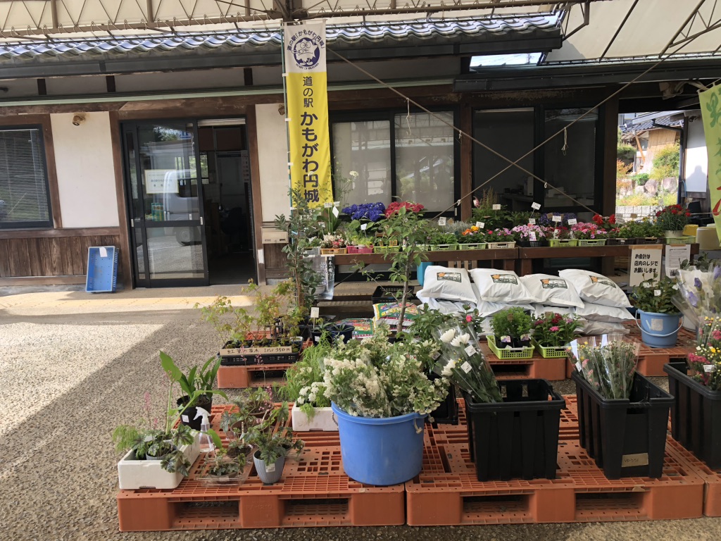 道の駅 かもがわ円城の写真