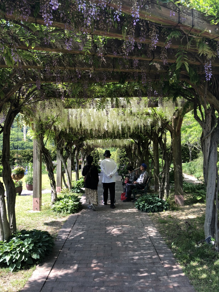 道の駅 みやま公園の写真