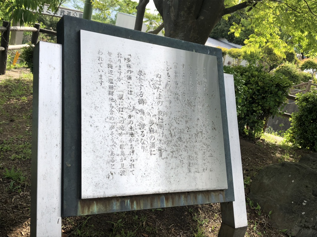 道の駅 一本松展望園の写真