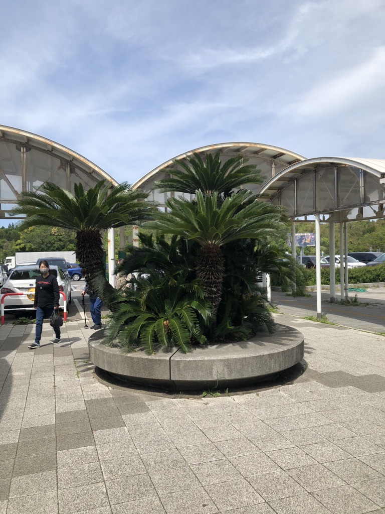 道の駅 はわいの写真
