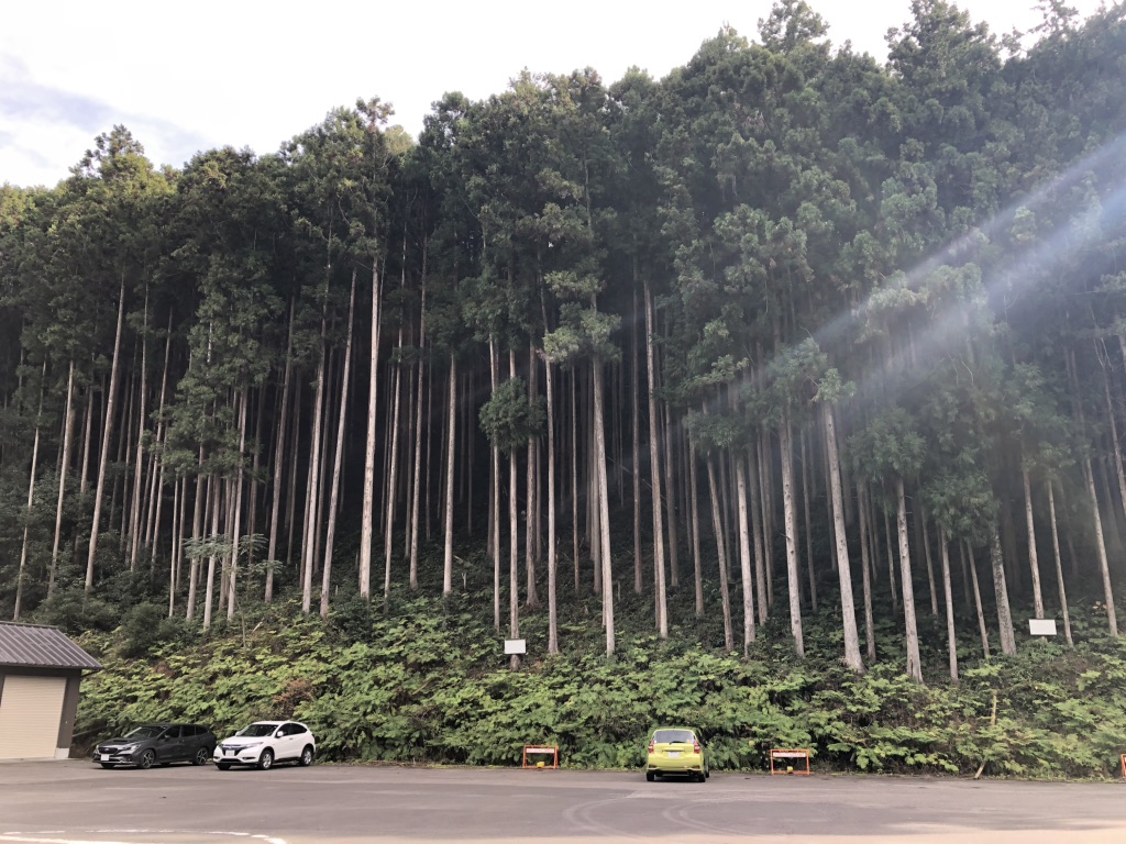 道の駅 瀧之拝太郎の写真