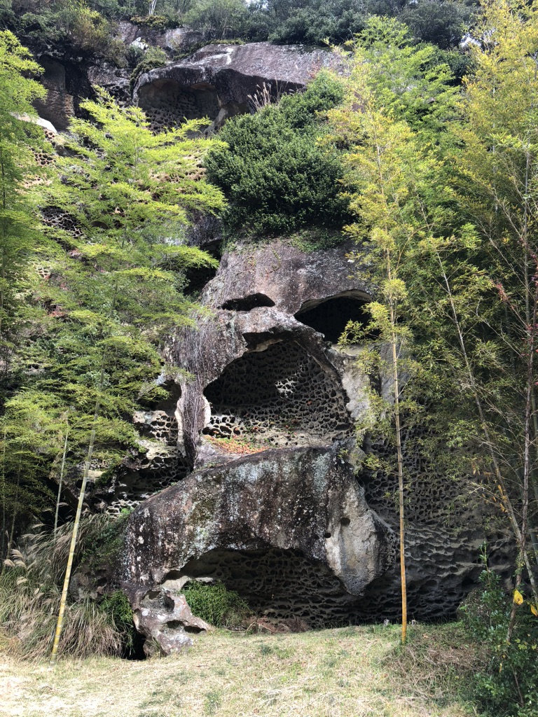 道の駅 虫喰岩の写真