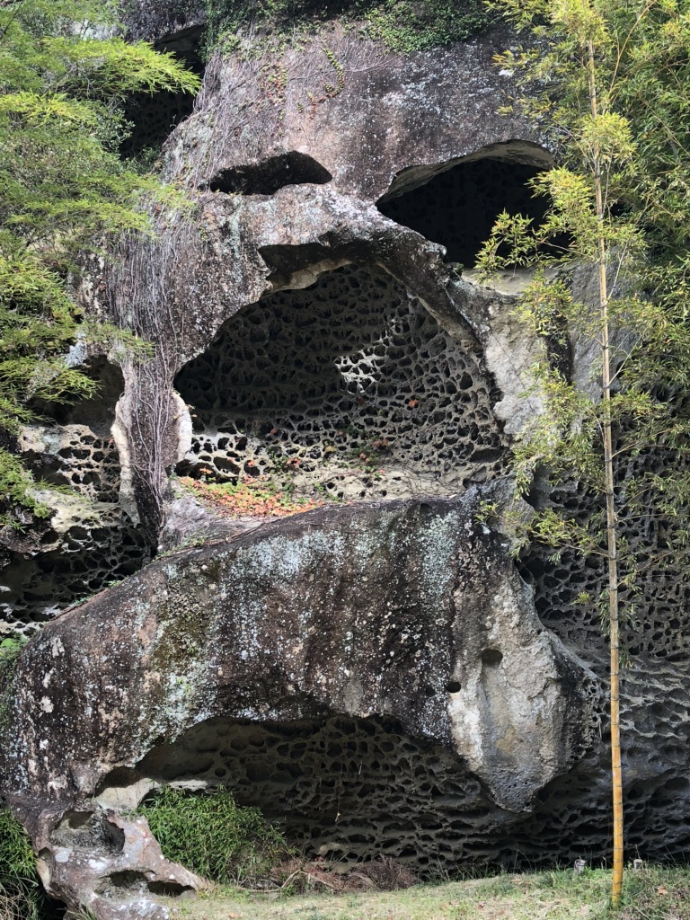 道の駅 虫喰岩の写真