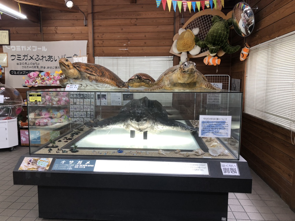 道の駅 紀宝町ウミガメ公園の写真