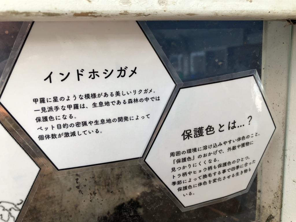 道の駅 紀宝町ウミガメ公園の写真