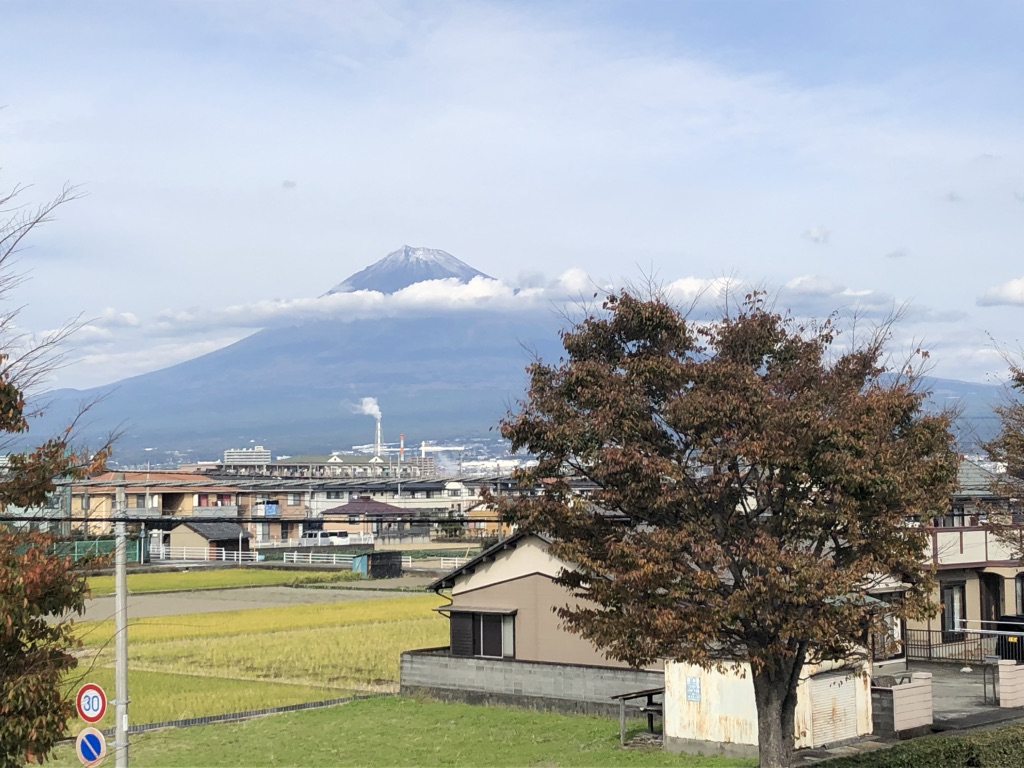道の駅 富士の写真