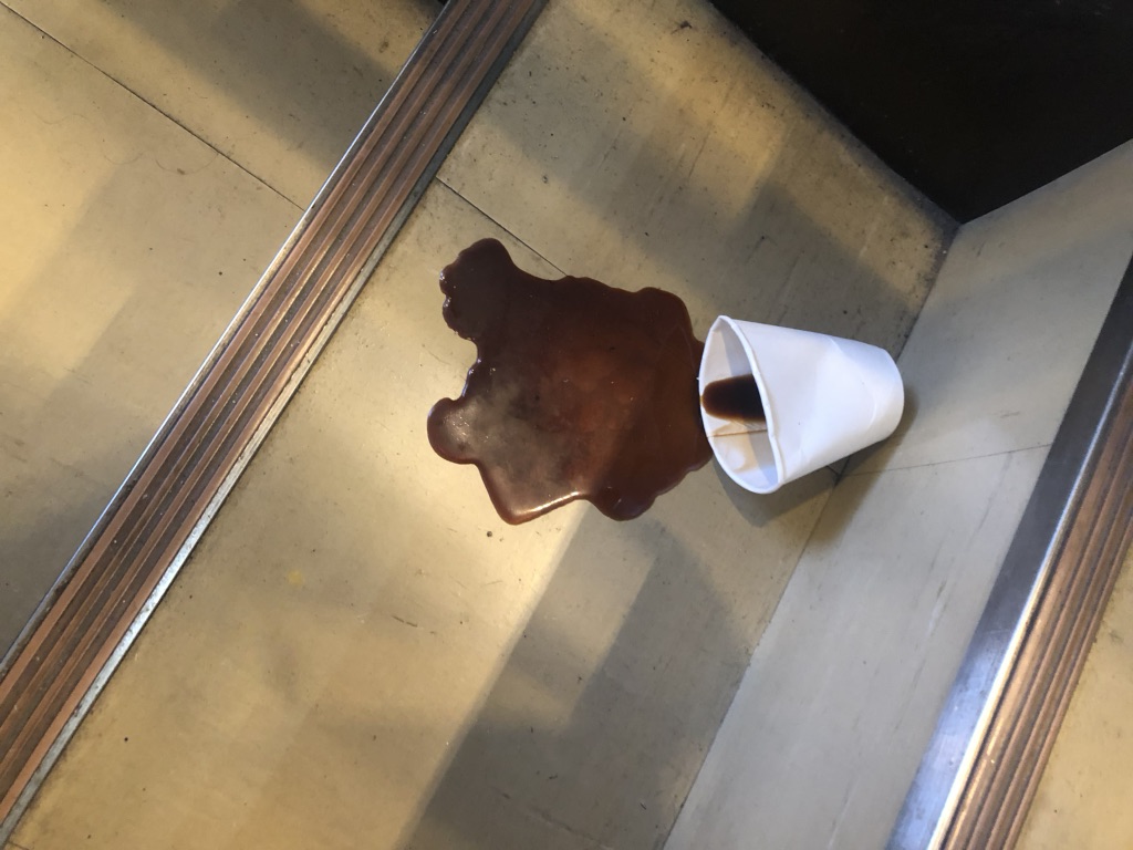 道の駅 清流の里しろとりの写真