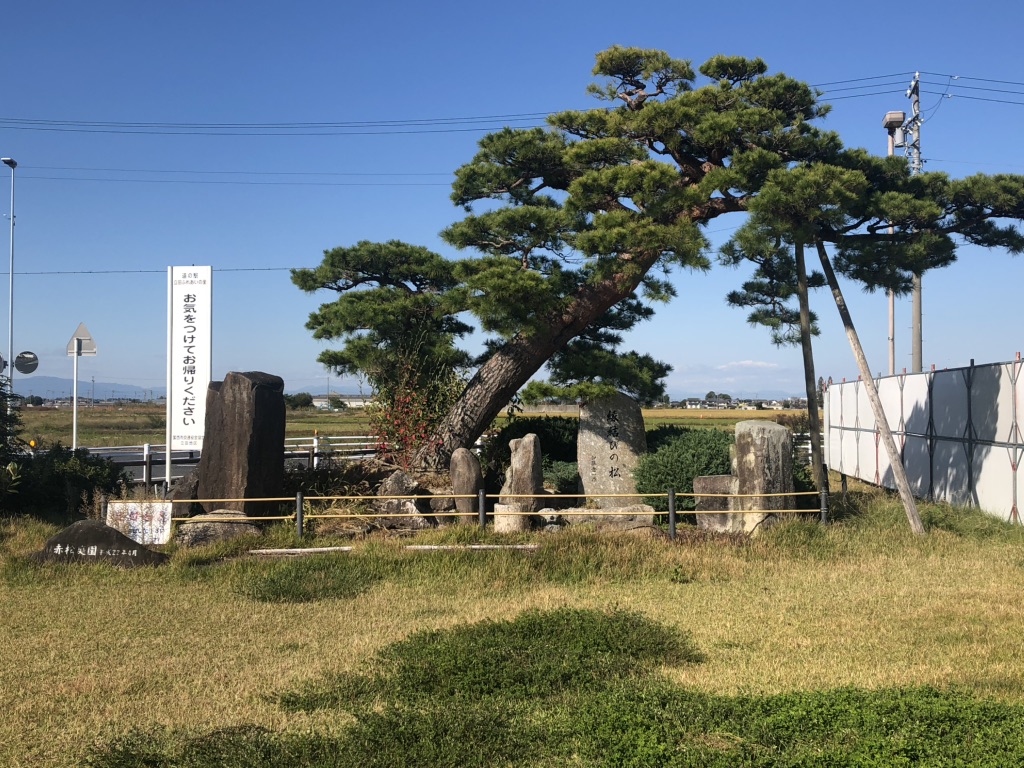 道の駅 ふれあいの里HASUパークの写真